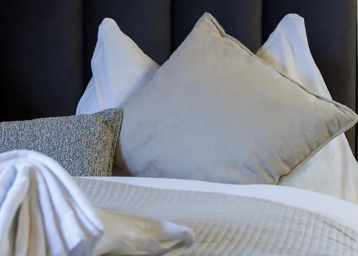 Apartment Luxe Walk To Lifts Davos